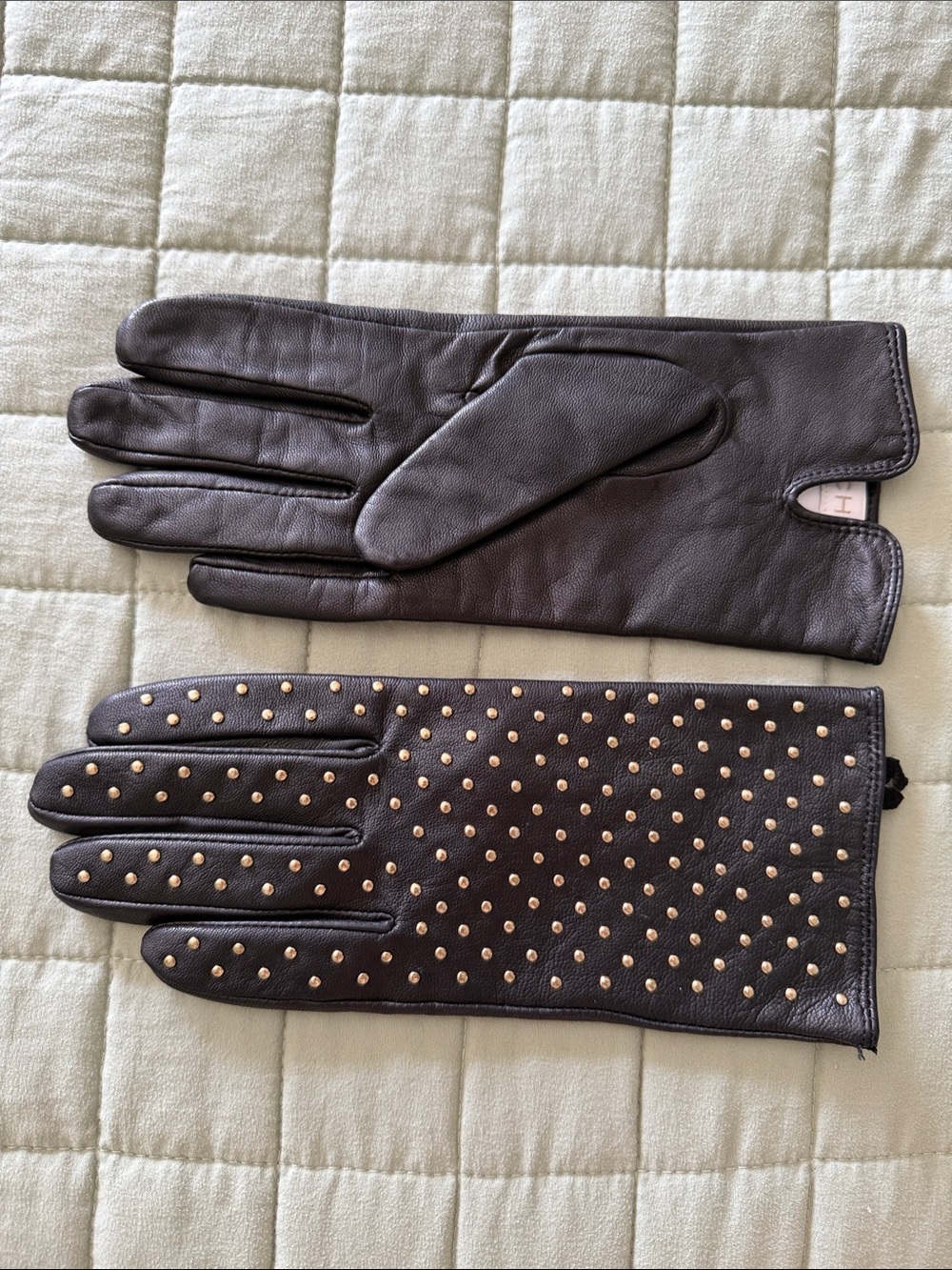 Cache Leather Studded Women's Gloves - Black